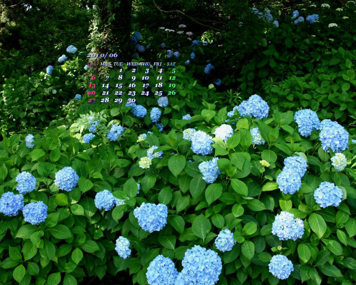 402893 (a): :1280x1024